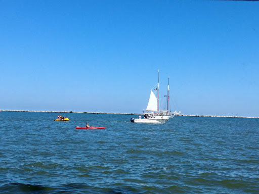 Stadium «FirstEnergy Stadium», reviews and photos, 100 Alfred Lerner Way, Cleveland, OH 44114, USA