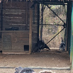 Photo n°7 de l'avis de Chris. fait le 07/01/2024 à 18:56 sur le  Terme di Monte Valenza à Monte