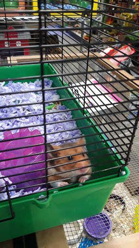 Pet Store «Pet World - Auburndale», reviews and photos, 3637 Havendale Blvd, Auburndale, FL 33823, USA