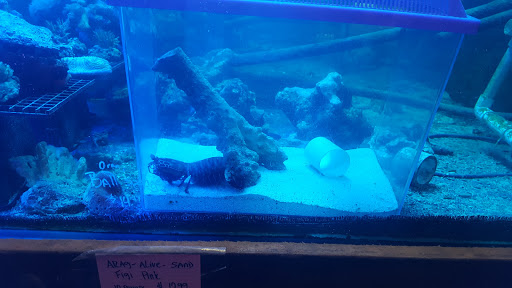 Aquarium Shop «Exotic Aquariums», reviews and photos, 7399 Bird Rd, Miami, FL 33155, USA