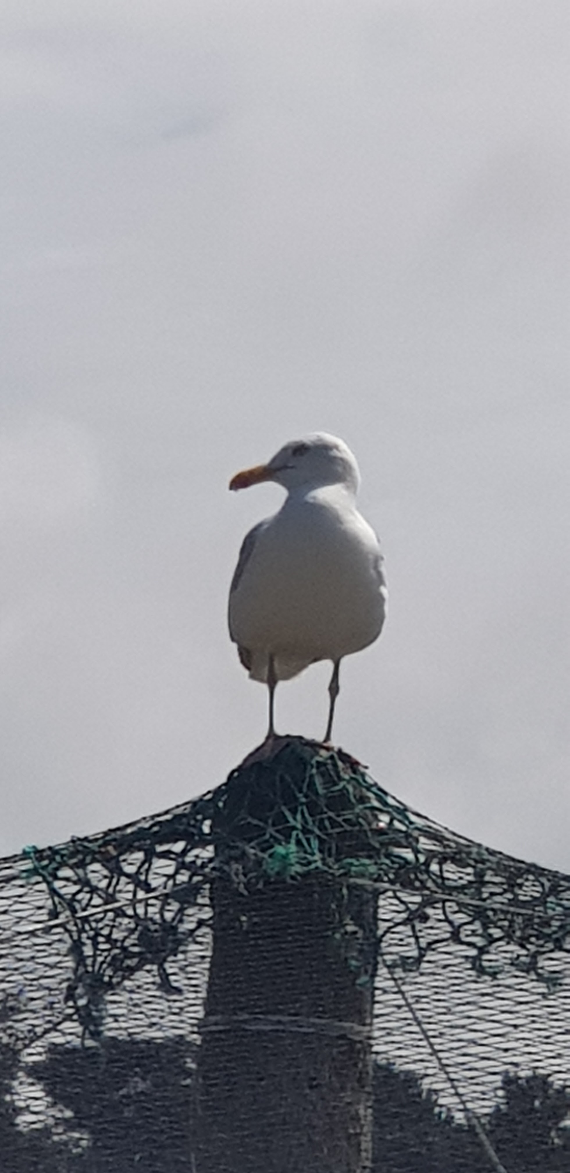 Photo n° 2 de l'avis de Carole.u fait le 19/07/2019 à 12:44