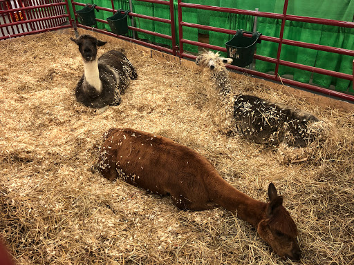 Fairground «Kentucky State Fair Ground», reviews and photos, Crittenden Dr, Louisville, KY 40209, USA