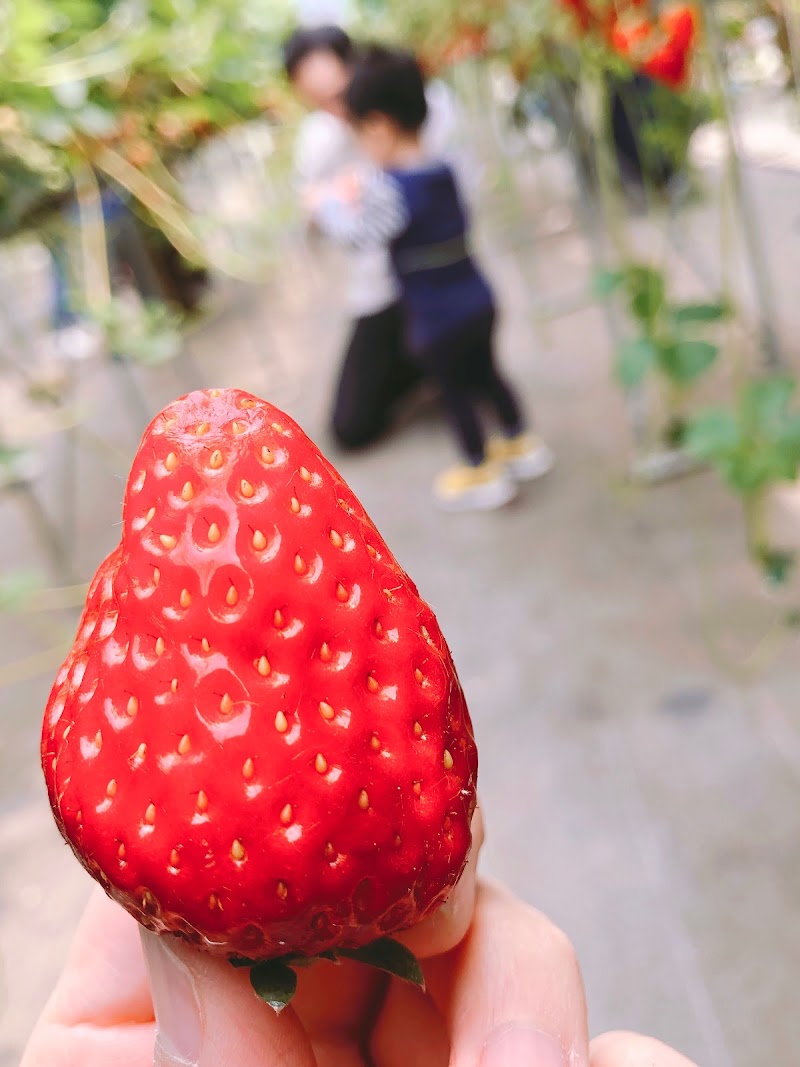 ファームスクエア 丹沢の森 神奈川県秦野市堀西 グルコミ