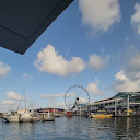 Island Queen Cruises & Tours photo taken 1 year ago