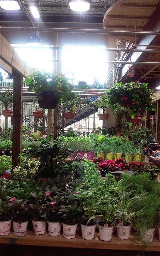 Hardware Store «Orchard Supply Hardware», reviews and photos, 2871 N Federal Hwy, Fort Lauderdale, FL 33306, USA