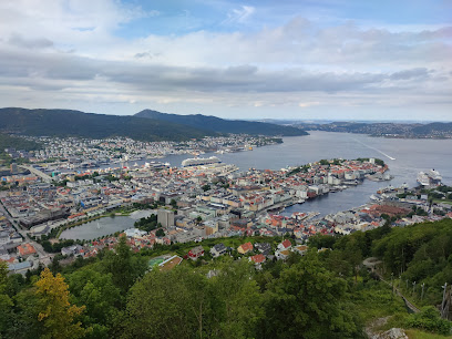 Fløyen Panorama