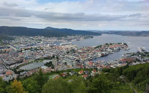 Fløyen Panorama image