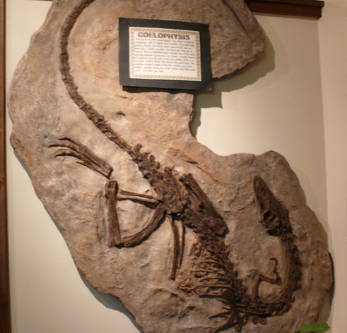 Museum «Creation Discovery Museum», reviews and photos, 2701 W Cypress Creek Rd, Fort Lauderdale, FL 33309, USA