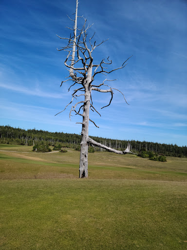 Golf Resort «Bandon Dunes Golf Resort», reviews and photos, 57744 Round Lake Drive, Bandon, OR 97411, USA