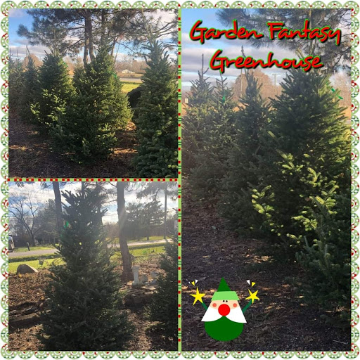 Wholesale Plant Nursery «Garden Fantasy», reviews and photos, 43250 Tyler Rd, Belleville, MI 48111, USA