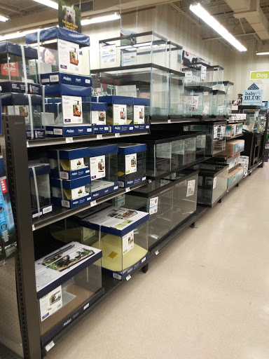 Pet Supply Store «Petco Animal Supplies», reviews and photos, 2565 NE 10th Ct, Homestead, FL 33035, USA