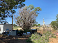 Keep Odessa Green Tree Trimming