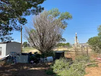 Keep Odessa Green Tree Trimming - Car repair in Odessa, TX, Odessa - Rated 5.0/5