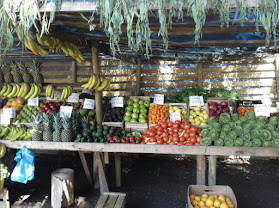frutas y verduras el guaton de la fruta