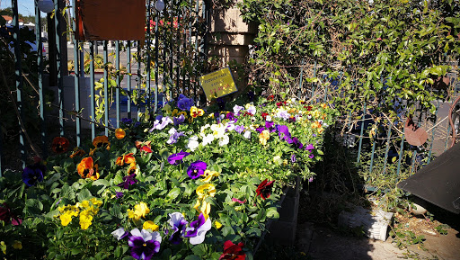 Grocery Store «Diamond Fresh Farmers Market», reviews and photos, 21168 Golden Springs Dr, Walnut, CA 91789, USA