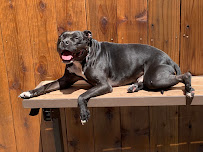 Hang Around Hound - Photo 7 - Car repair in San Francisco, CA, San Francisco