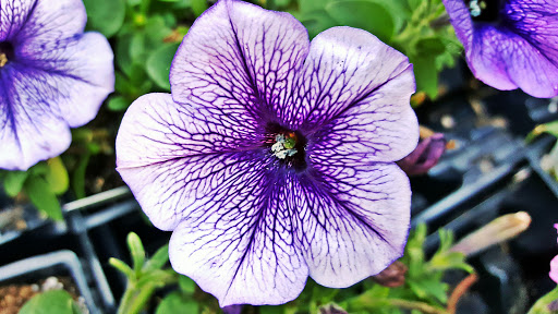 Home Improvement Store «The Home Depot», reviews and photos, 3700 University Ave, West Des Moines, IA 50266, USA