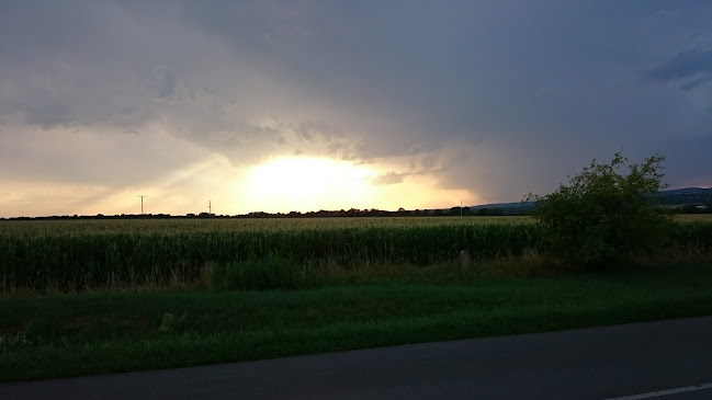 Pellérd, Pécsi út 12., 7831