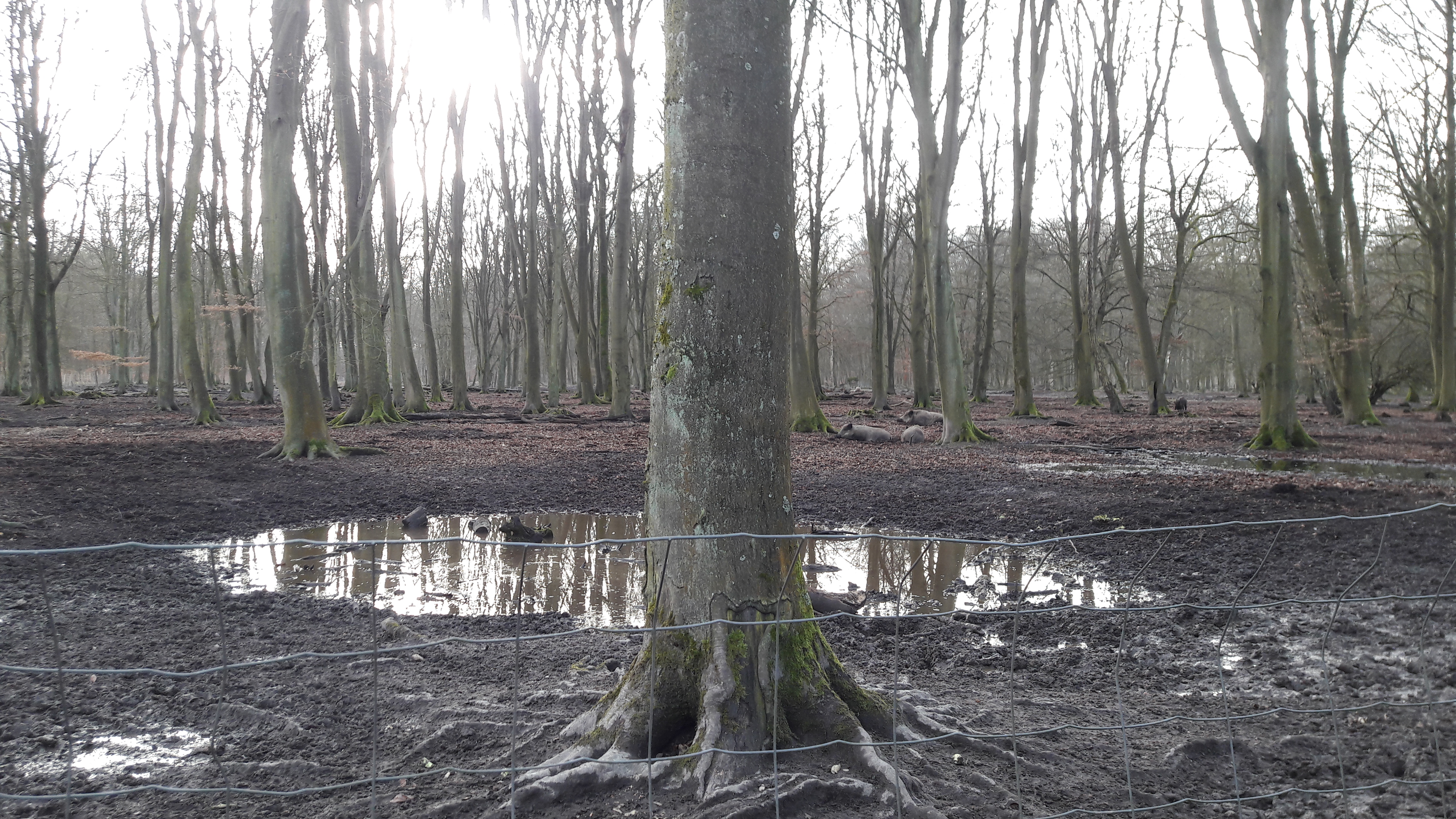 Photo n° 3 de l'avis de Cathy.A fait le 13/02/2019 à 08:02