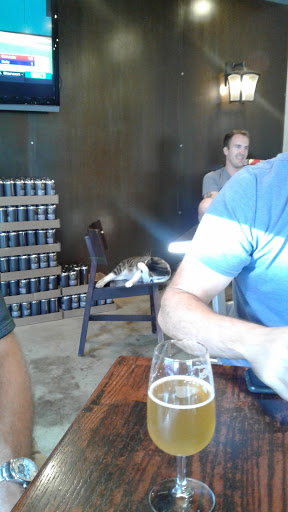 Brewpub «Windmill Brewing», reviews and photos, 2121 Gettler St, Dyer, IN 46311, USA