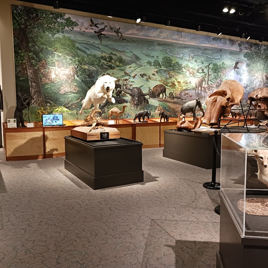 Brazos Valley Museum of Natural History
