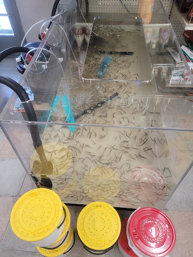 Convenience Store «K-V Bottle Shop», reviews and photos, 5200 Lake Isabella Blvd, Lake Isabella, CA 93240, USA