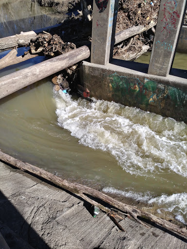 Nature Preserve «Jefferson Memorial Forest», reviews and photos, 11311 Mitchell Hill Rd, Fairdale, KY 40118, USA
