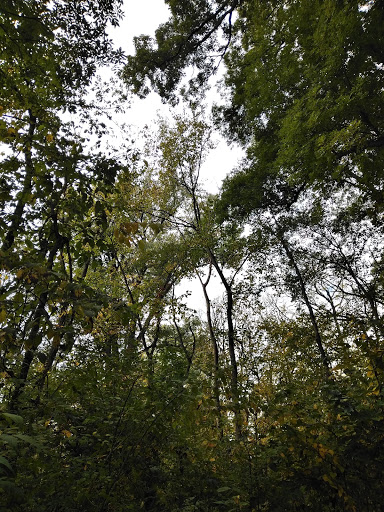 Nature Preserve «Burns-Stokes Preserve», reviews and photos, Zeeb Rd, Dexter, MI 48130, USA