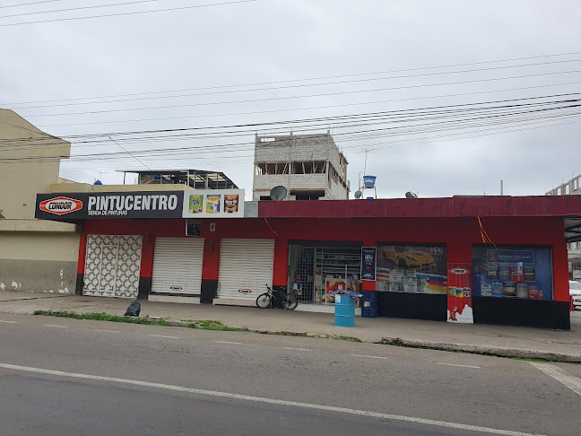 PINTUCENTRO - Tienda de pinturas