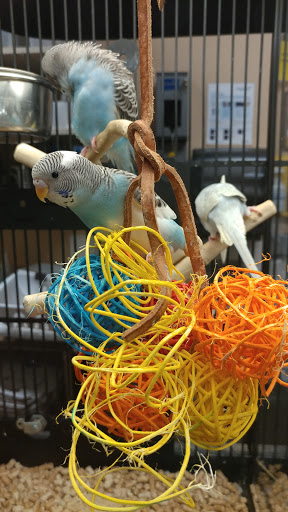 Pet Supply Store «PetSmart», reviews and photos, 3210 E Lynn Blvd, Sterling, IL 61081, USA