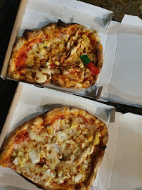 Plats et boissons du Pizzeria OMEGA TACOS-PIZZA à Mâcon - n°3