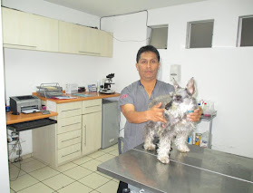 emergencias veterinarias san isidro