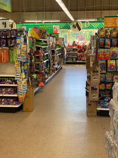 Dollar Store «Dollar Tree», reviews and photos, 1825 Salvio St, Concord, CA 94520, USA