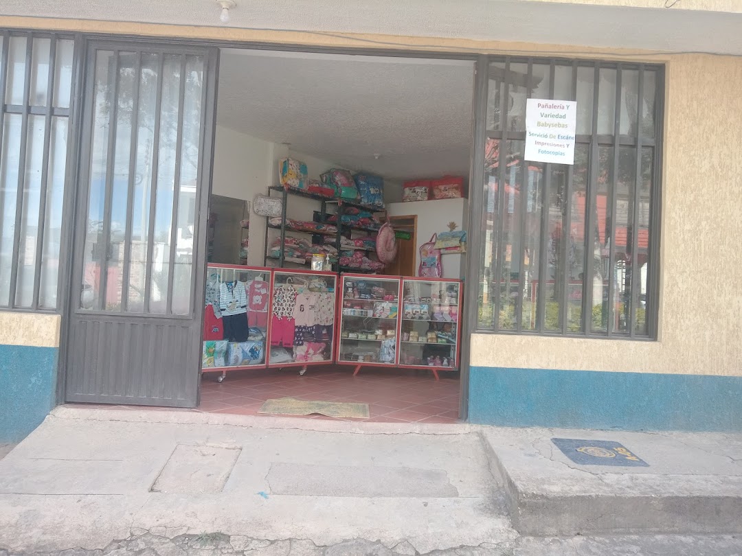 PAÑALERIA BABYSEBAS