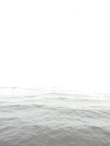 Pet Supply Store «Unleashed by Petco», reviews and photos, 1402 Wilshire Blvd, Santa Monica, CA 90403, USA