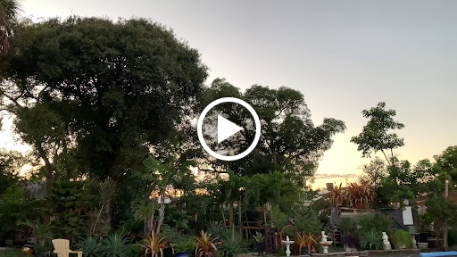 Thrift Store «OddBalls Nifty Thrift», reviews and photos, 530 NE 13th St, Fort Lauderdale, FL 33304, USA