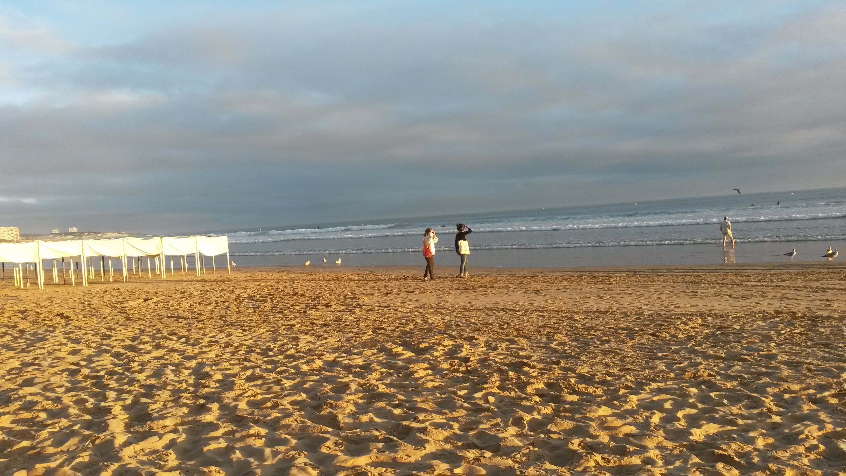 Photo n° 5 de l'avis de christophe.r fait le 27/11/2023 à 20:47