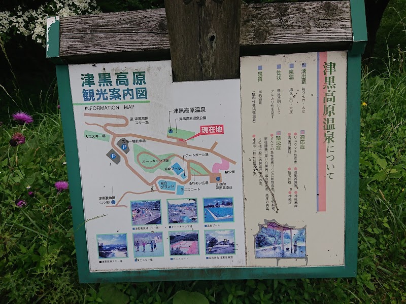 津黒高原温泉 公園の湯