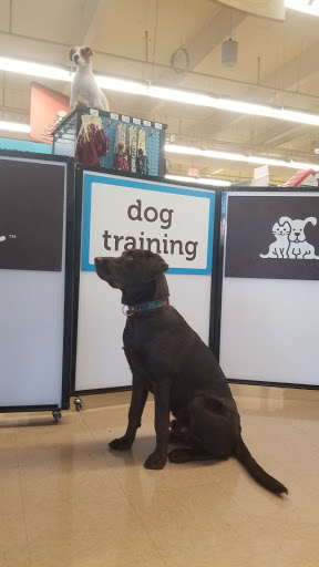 Pet Supply Store «Petco Animal Supplies», reviews and photos, 1121 5th St, Miami Beach, FL 33139, USA