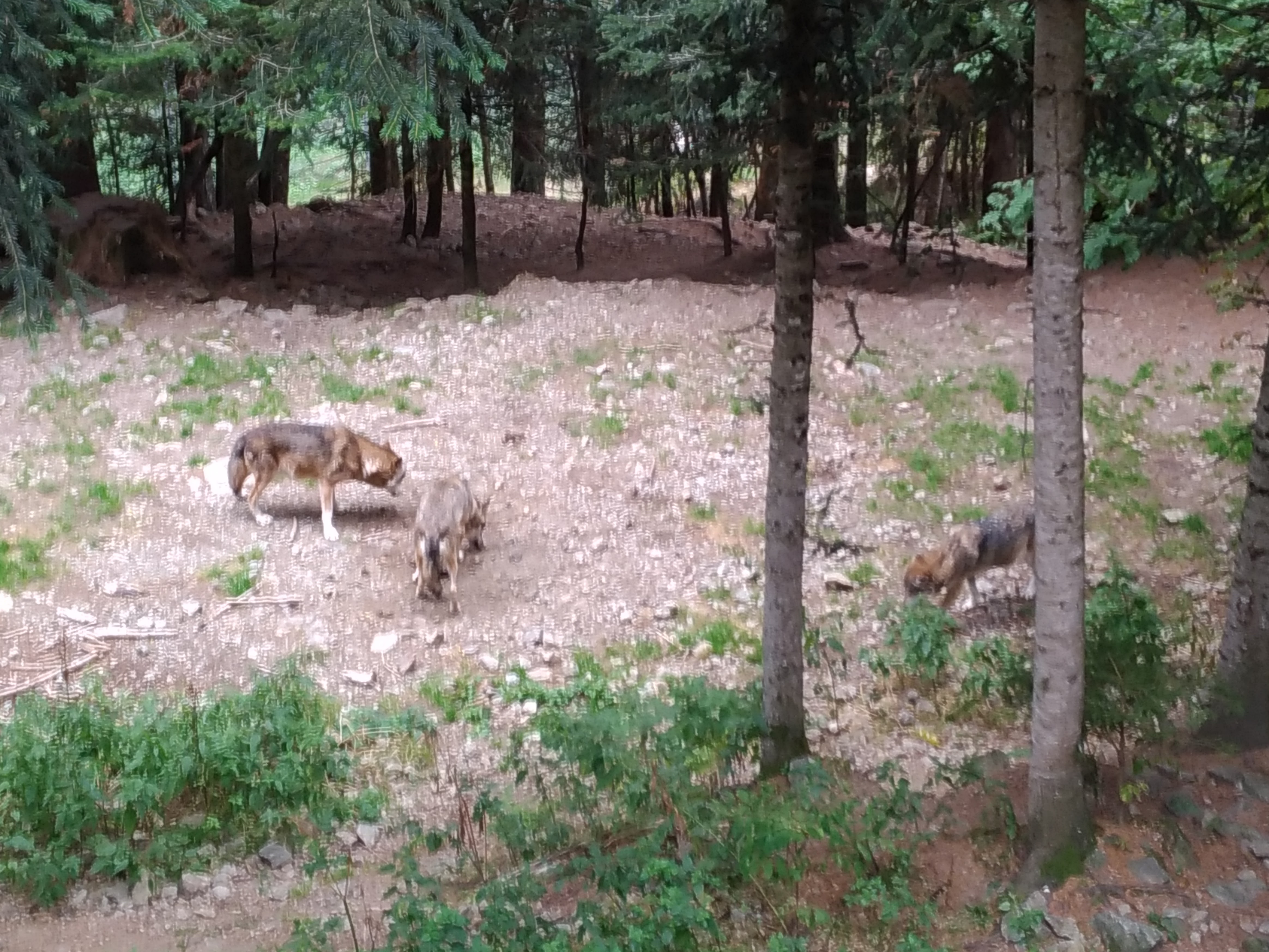 Photo n° 10 de l'avis de Guillaume.. fait le 20/09/2017 à 17:20