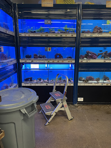 Pet Supply Store «Petco Animal Supplies», reviews and photos, 1210 Marvin Rd NE, Lacey, WA 98516, USA