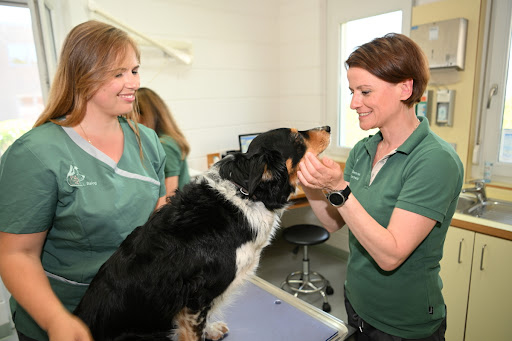 Zentrum für Tiergesundheit Linkenheim-Hochstetten, Tierärztin Manuela Bencec unter Linkenheim-Hochstetten, Baden Württemberg