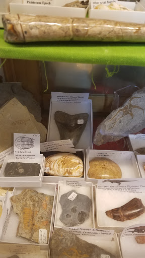 Art Gallery «Bradys Village Art Gallery», reviews and photos, 3312 Main St, Morgantown, PA 19543, USA