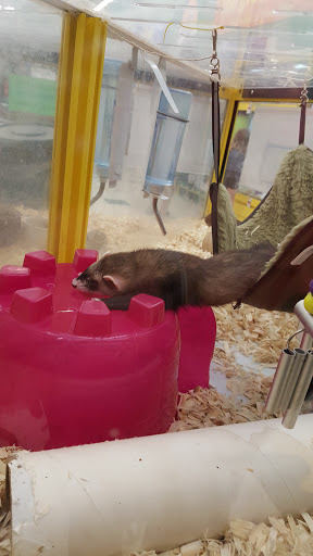 Pet Supply Store «Pet Supplies Plus», reviews and photos, 311 Sagamore Pkwy N, Lafayette, IN 47904, USA