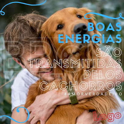 BBCM - Marketing Pet Panamby São Paulo