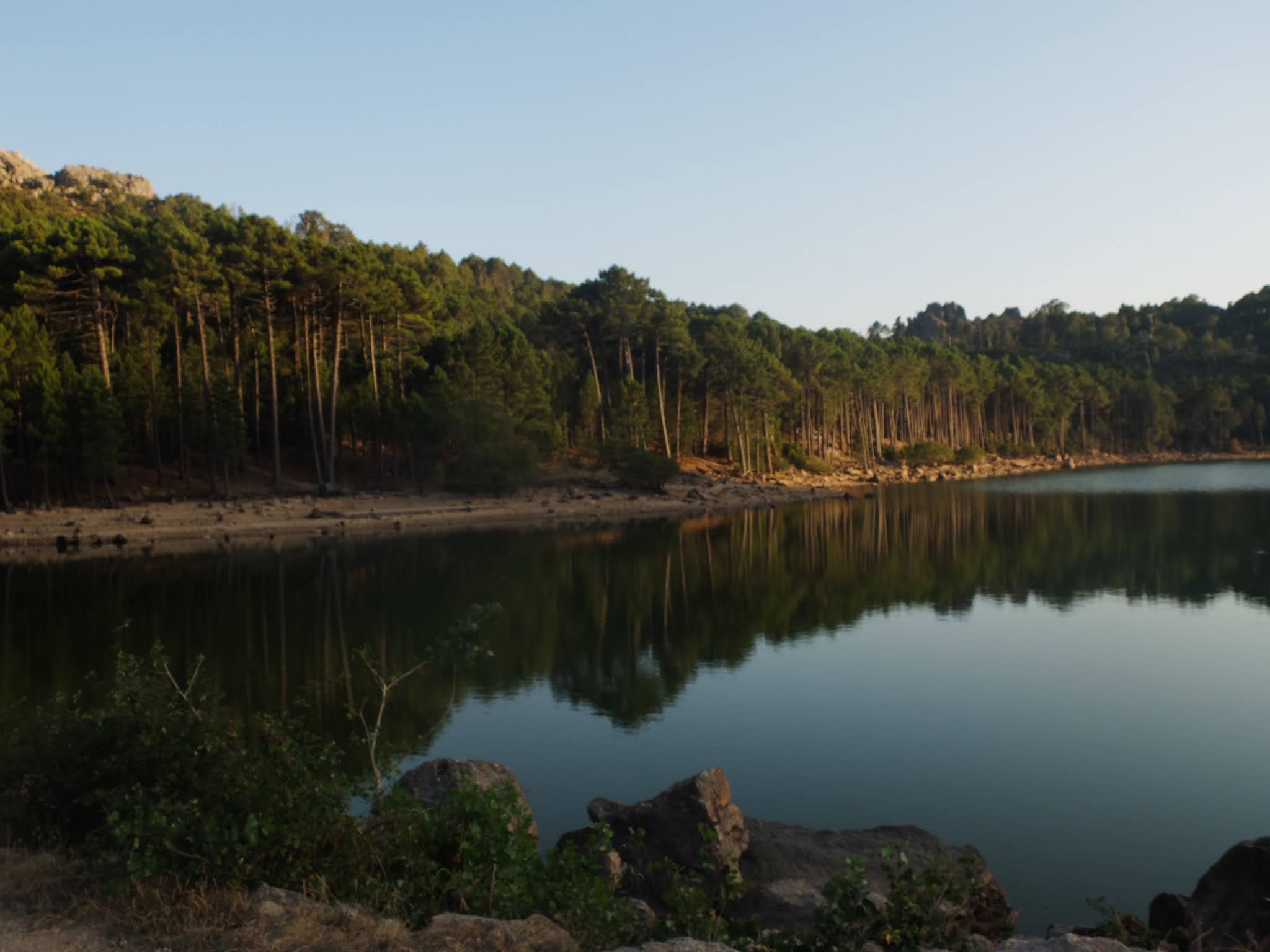 Photo n° 1 de l'avis de Tommaso.a fait le 13/08/2021 à 19:24