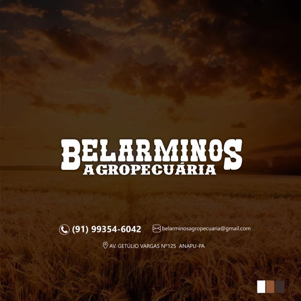 Belarminos Agropecuária