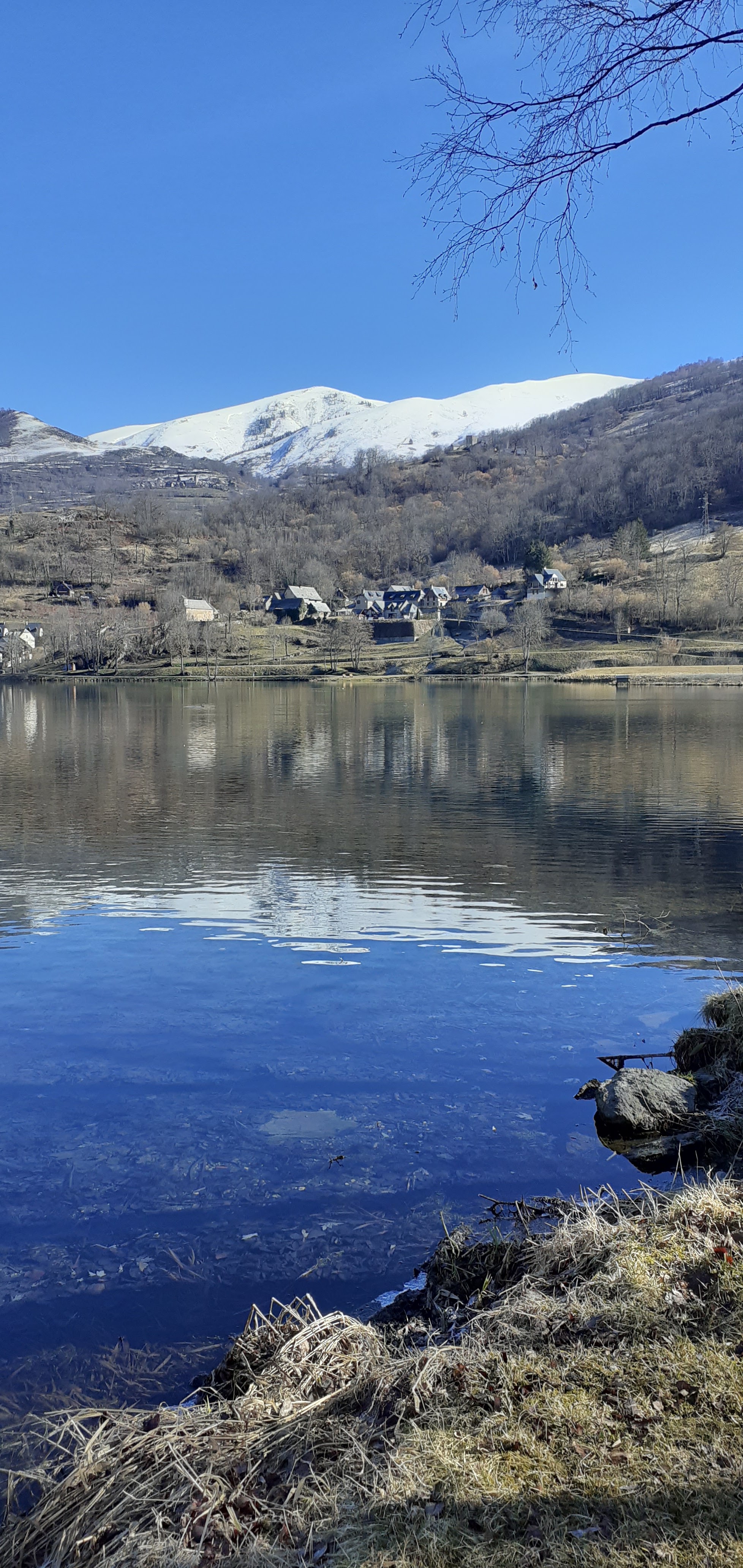 Photo n° 7 de l'avis de Les.e fait le 21/02/2022 à 09:31