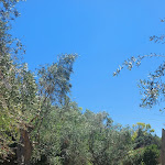 Photo n°10 de l'avis de Pierluigi.e fait le 16/07/2022 à 21:43 sur le  Ristorante Agriturismo Calamate à Sannicola