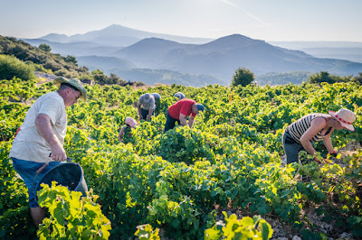 Domaine D'Ouréa à Vacqueyras